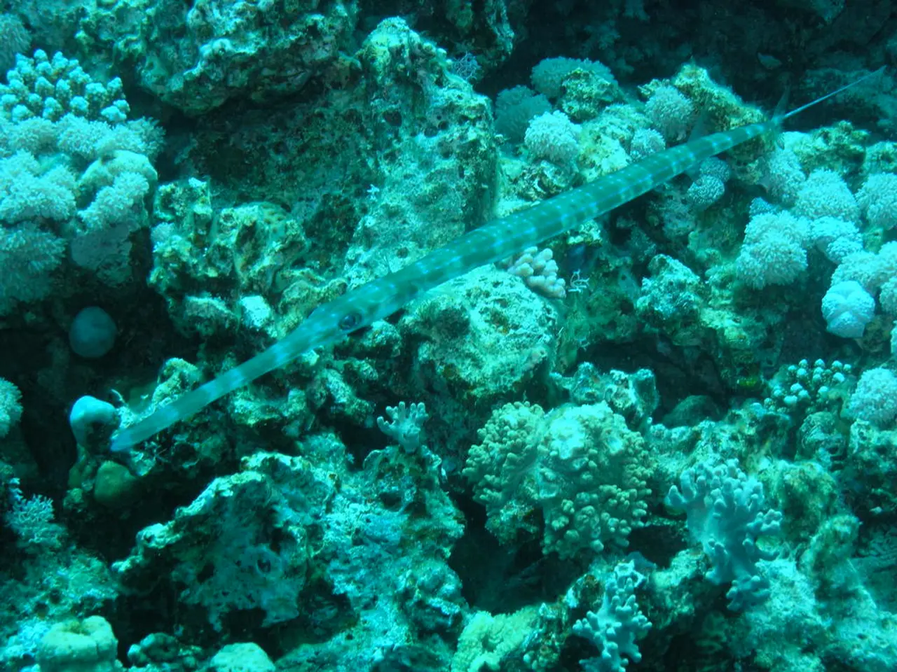 Traveling through Europe - Be Aware of These Wildlife Encounters