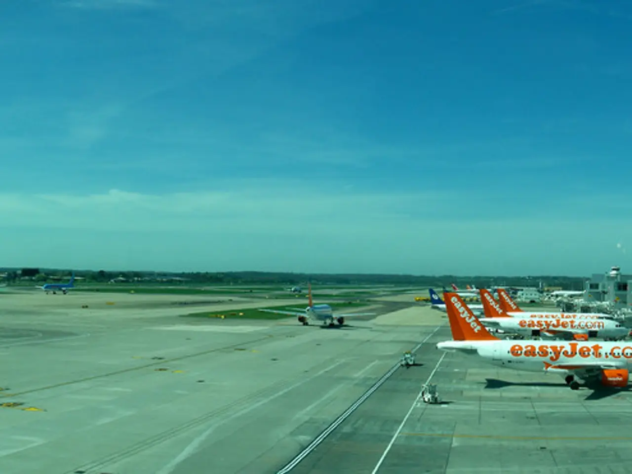 A call for the immediate abolition of the Transportation Security Administration (TSA)