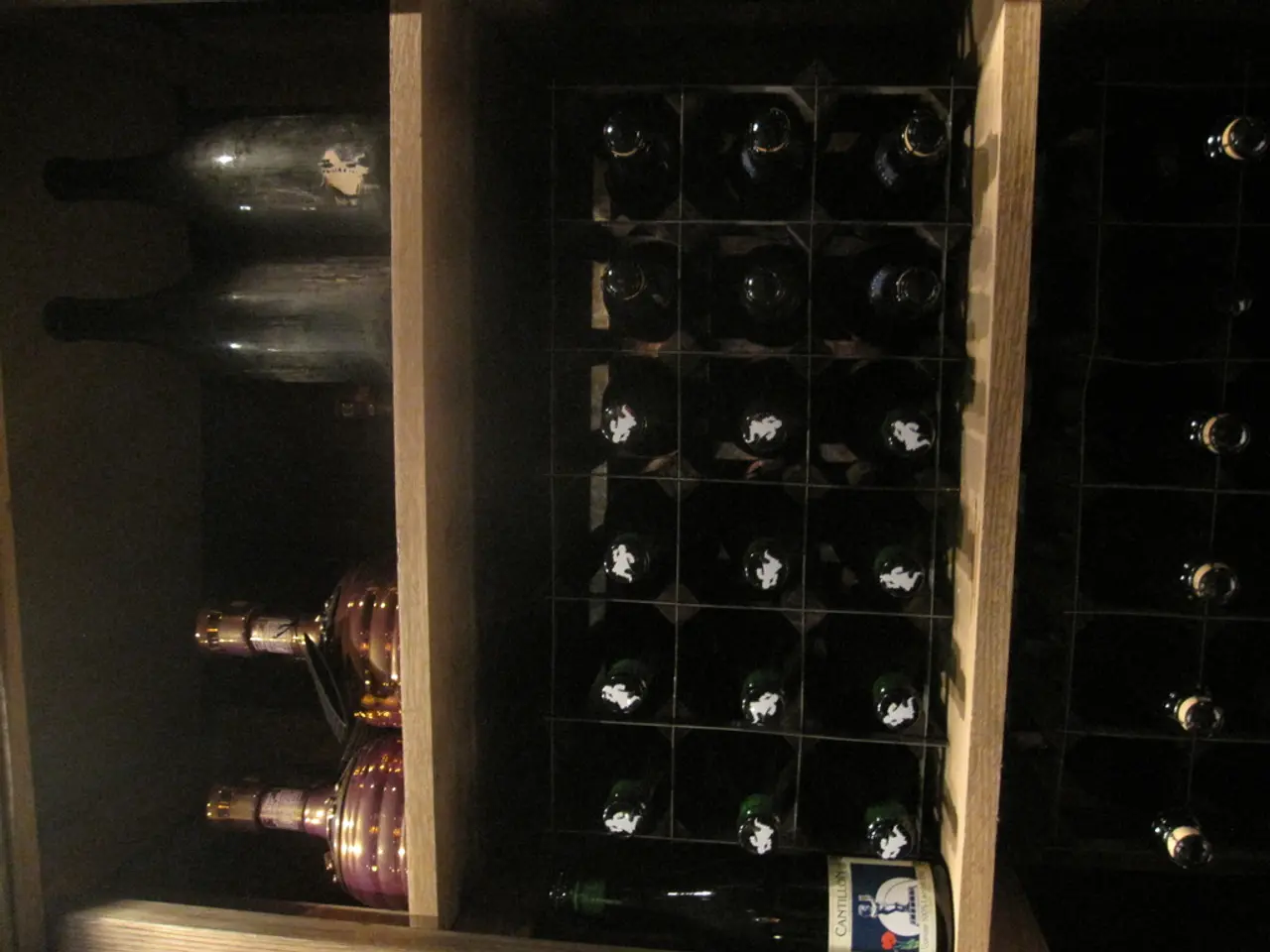 Cycling and Vino, Mendoza:Experience the Blend of Wheels and Grapes in Mendoza