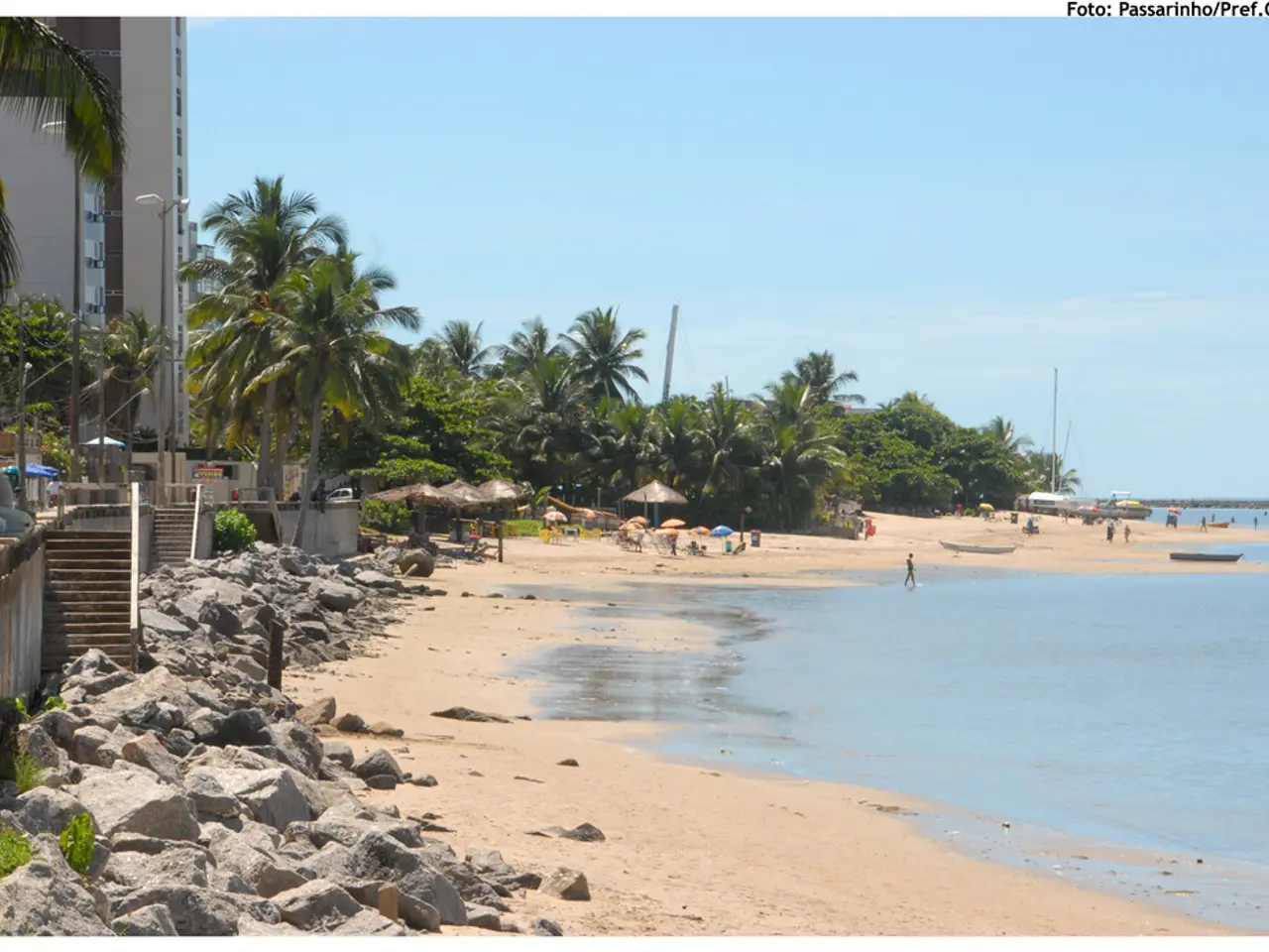 Online misconceptions swirl around Yangyang, a destination known for its surfing: debunking the...