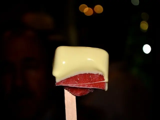 Vacation Itinerary Adherence Led to Softened Disdain Towards ChatGPT