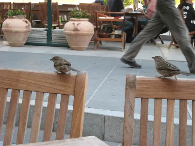 Strategies for Maintaining Wellness During Journeys: Advice on Nutrition and Physical Activity