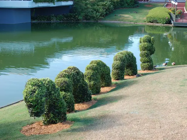 Top-performing garden wildlife cameras in the year 2025