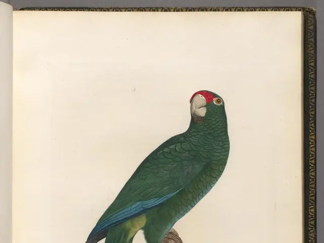 Latest Update on Travel: Tracking and Reporting System