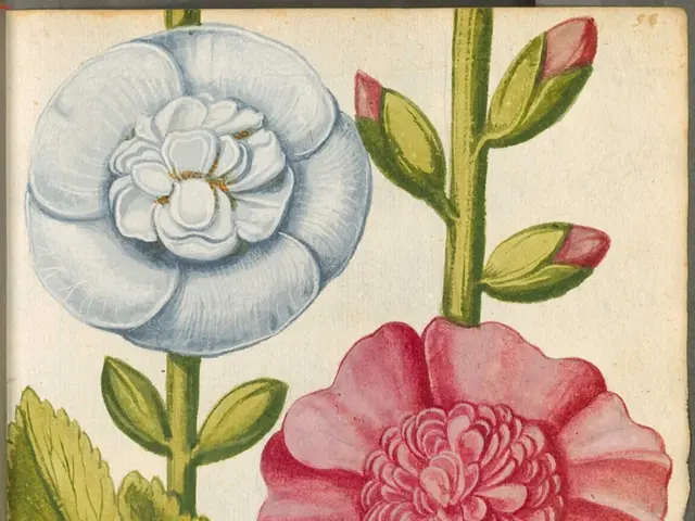 Timeless Kangra Miniatures: Unraveling a Rich Indian Art Tradition