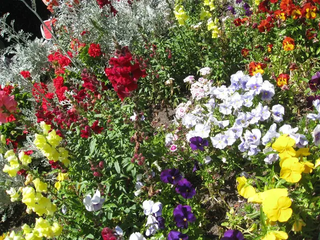 Top 10 Most Beautiful Blossoms Globally