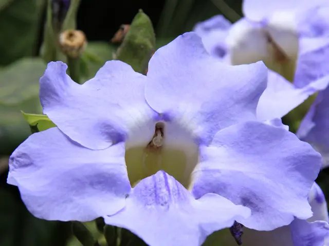 Daily Habits Adhered to by Successful Individuals in the Morning