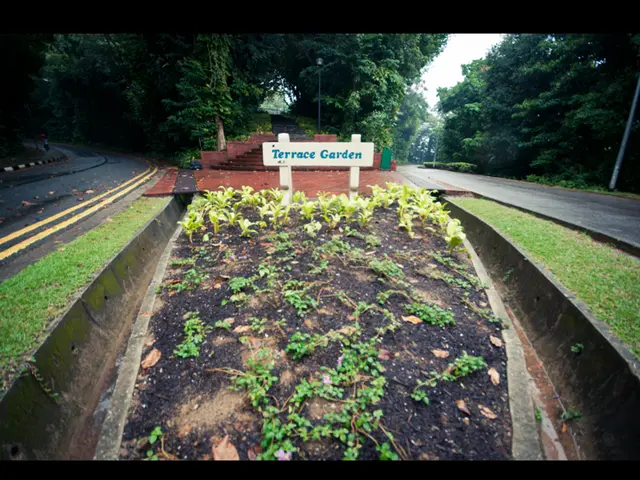 Seven Strategies for Leveraging Digital Networks to Foster Nature Education, Cultivating...