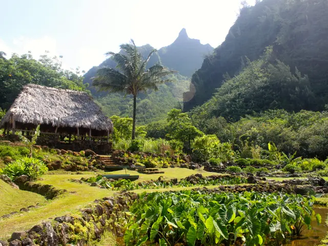 Reasons for discomfort or aching in the lower stomach area