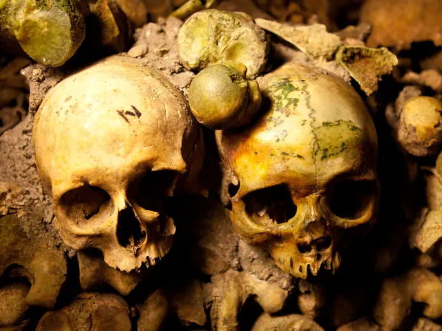 Head Injuries: 5 Potential Causes and When to Express Concern