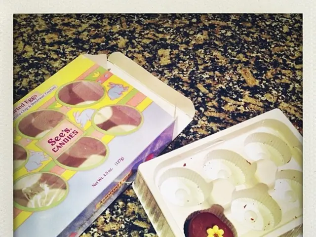 Discovering Pet-Friendly Abodes in Adelaide: Top Choices for Harmonious Stays with Your Furry...