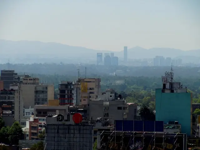 Disorderly Mob Rule in the Schizophrenic State