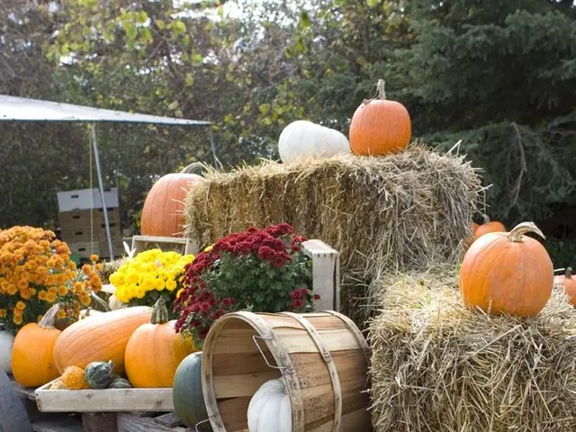 Thrilling Tasks Perfect for the Daring Spirits During Autumn