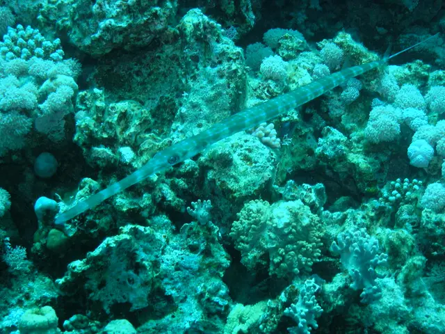 Traveling through Europe - Be Aware of These Wildlife Encounters