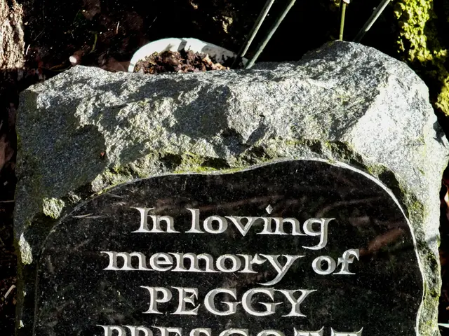 Unveiled Gems: Spots to Marvel at Gem-A's Dazzling Gemstone and Mineral Collection