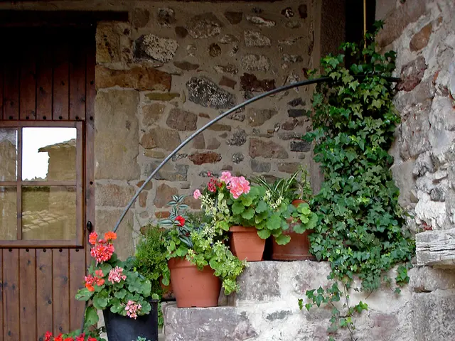 Navigate Your Way Through the Unique Labyrinthine Structure in Croatia, a Sight to Behold