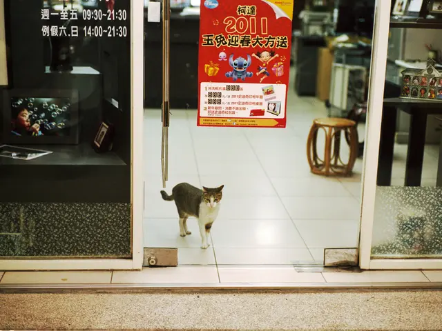 Foreign residents in Saudi Arabia are given an additional 30 days to depart the country if they...