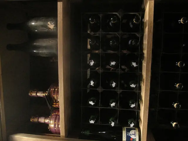 Cycling and Vino, Mendoza:Experience the Blend of Wheels and Grapes in Mendoza