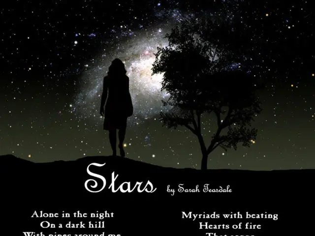 Essence of Poetic Expression Revealed