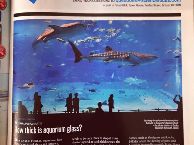 Discerning the World's Mighty Streams: A Comparison of the Mekong and Amazon Rivers