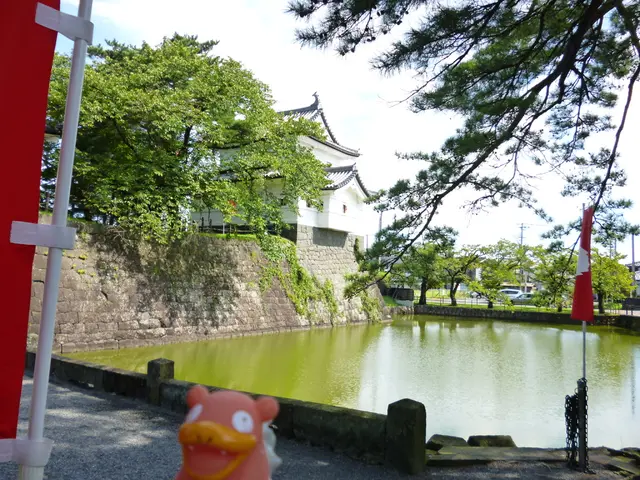 Summer Experiences in Beyenburg