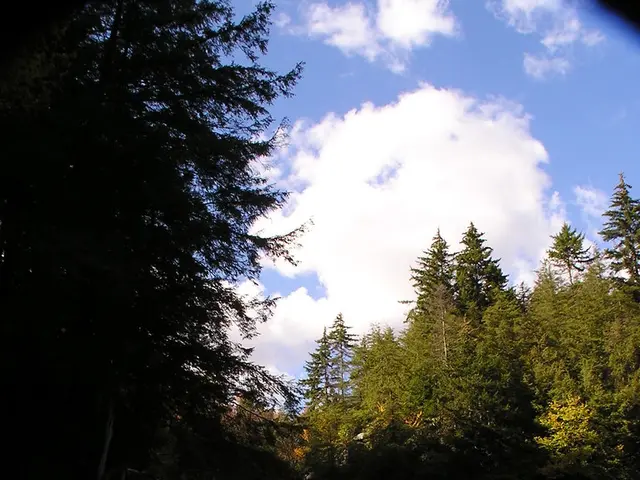 Maharashtra Introduces Transparent Suspension Bridge above Napne Waterfall: Fresh Tourist Draw in...