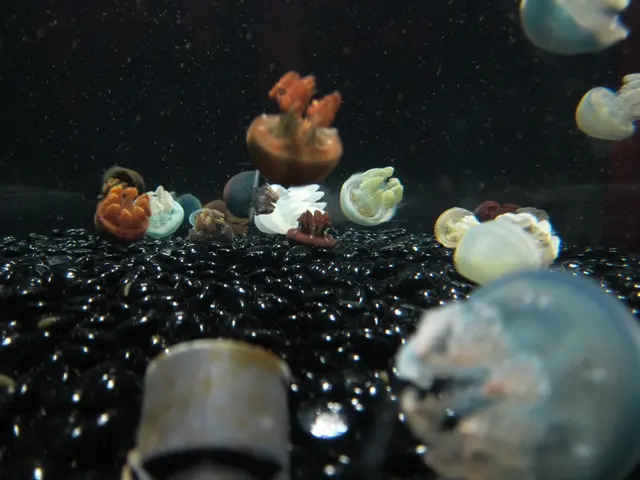 Tourist's Honest Disappointment: Azov Sea Guest House Review