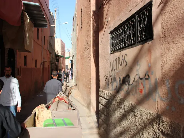 Tourists Prepare for Pay-to-Visit Fees at Well-Known New Zealand Attractions