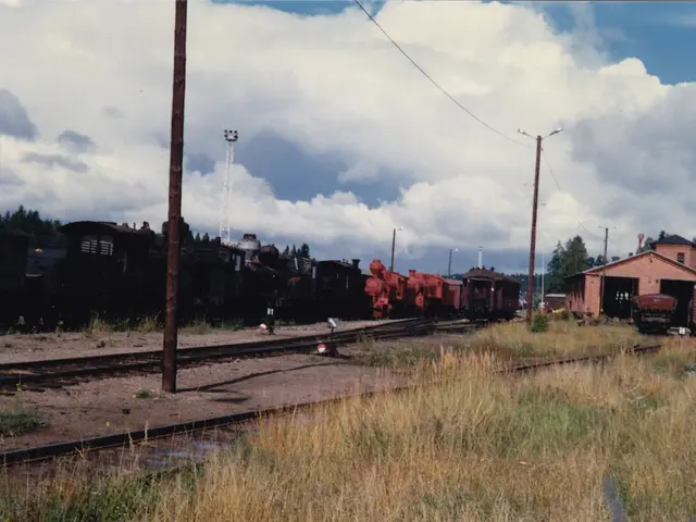 Regional Summer Break: Complimentary Activities to Explore