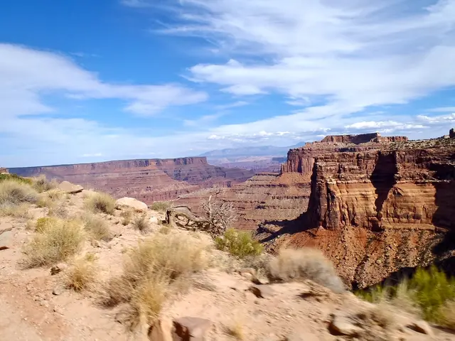 "Stranded in No Man's Land" - American Vlogger's Frightening Experience during Himachal Pradesh...