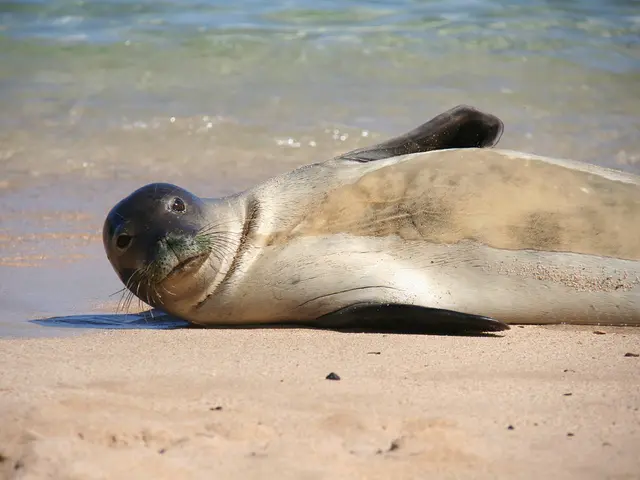 Comprehensive Guide on Turquoise Coastlines of Providenciales