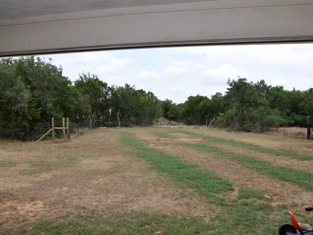 Unveiling the Essentials of Camping in Baja California: Addressing Your Unspoken Questions and...