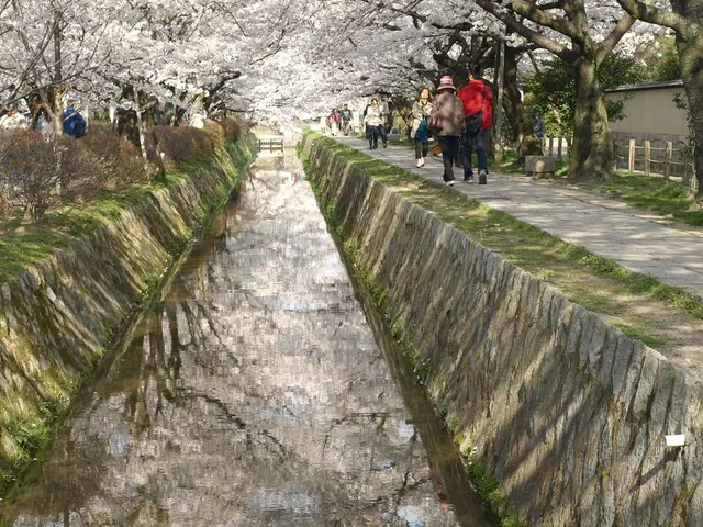 Five fashionable backpacks suitable for your journeys