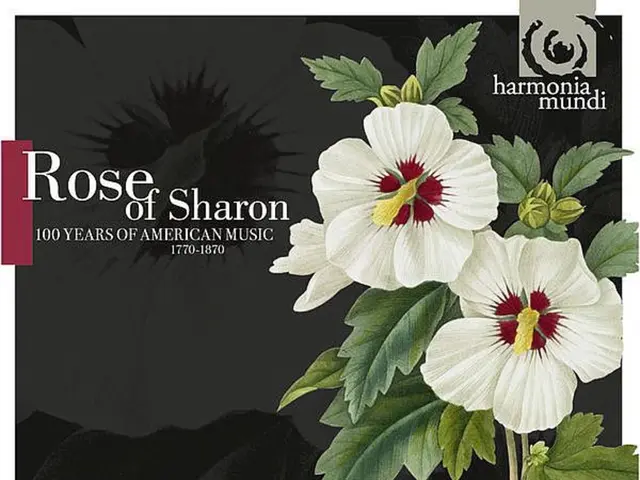 Harmony: Hue, Weight, and Angle