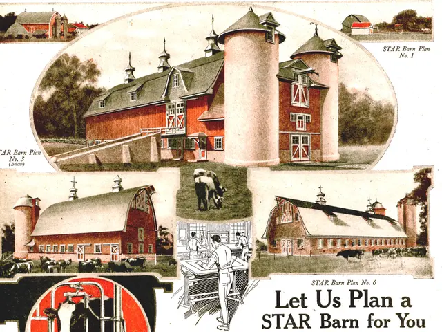 John Meadley's Communique