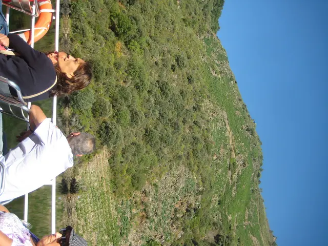 Initial Destinations Propelled by Travel Trends