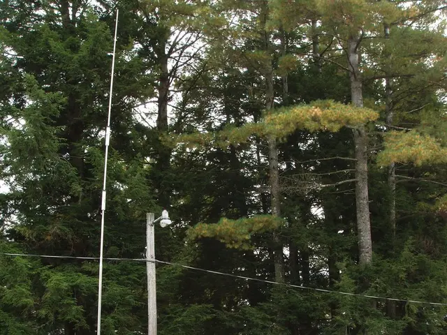 Camping site, Lickpenny Matlock Club, affiliates with CAMC organization