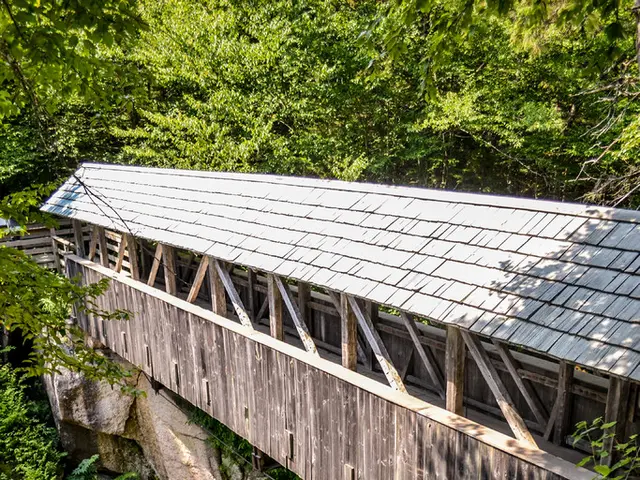 Hike from Herzhausen to Asel along the Urwaldsteig trail, following the Edersee shoreline.