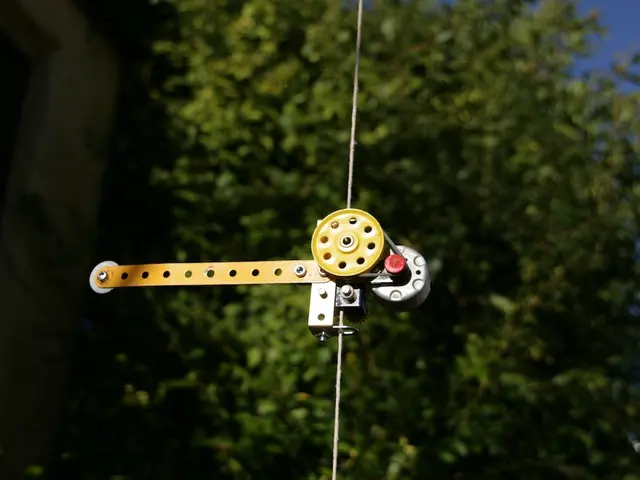 Budget airline Belavia offers reduced prices on its recently announced flights.