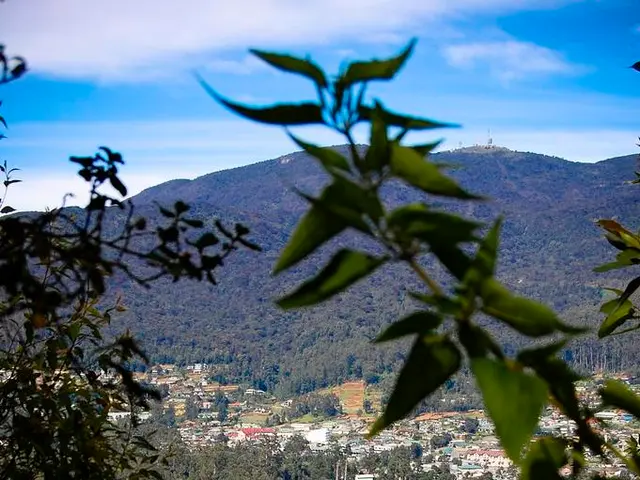 Autumn completion of a EUR 60,000 mountain shelter in Romania's Făgăraș Mountains