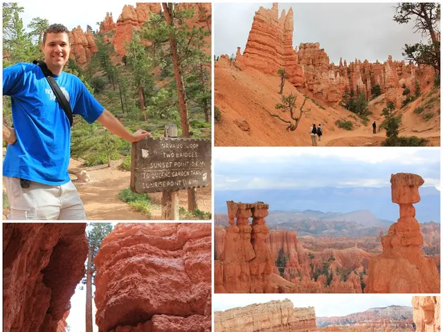 Exploring Antarctica next: The historical Irish links of 'Van Diemen's Land'