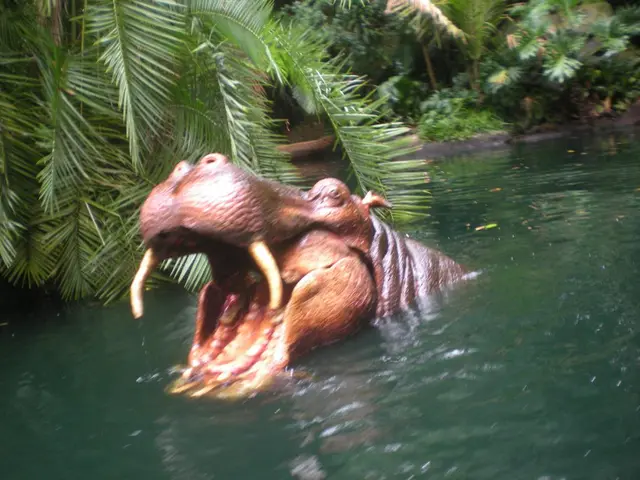 Symbolic Creatures of Aquatic Domain