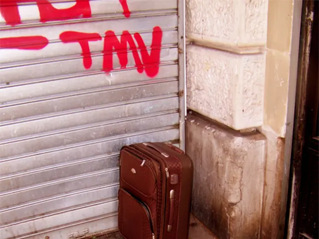 Luggage Theft at Airports: Particularly High Risk Spotted at These Airports