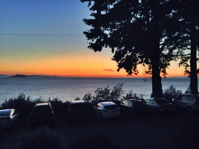 Engaging in Climate Advocacy