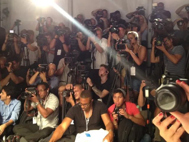 Strategies for an Emerging Image Artisan