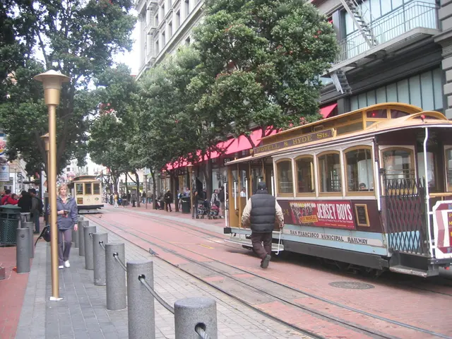 Gathering under ancient linden trees