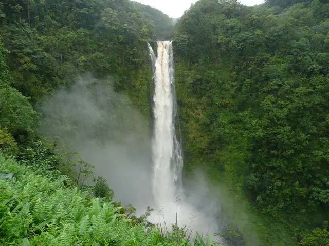 In this picture, there is a waterfall in the center. The entire picture is covered with the plants...